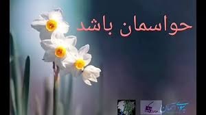 ✍️یک استاد فلسفه